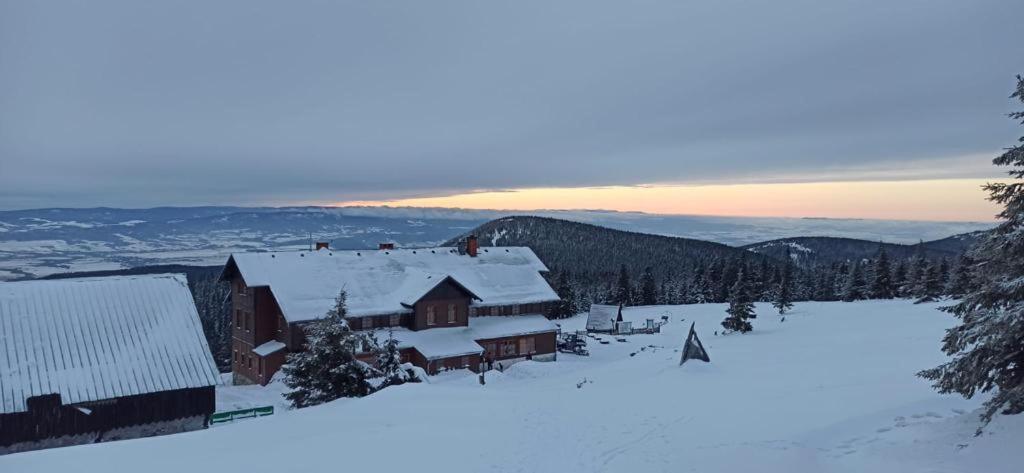 Willa Janina Lądek-Zdrój Exteriér fotografie