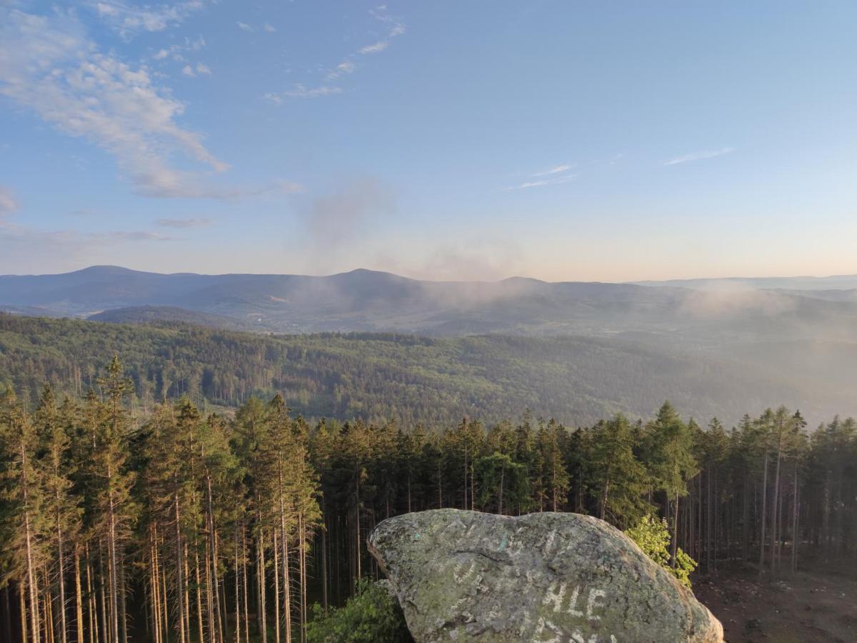 Willa Janina Lądek-Zdrój Exteriér fotografie