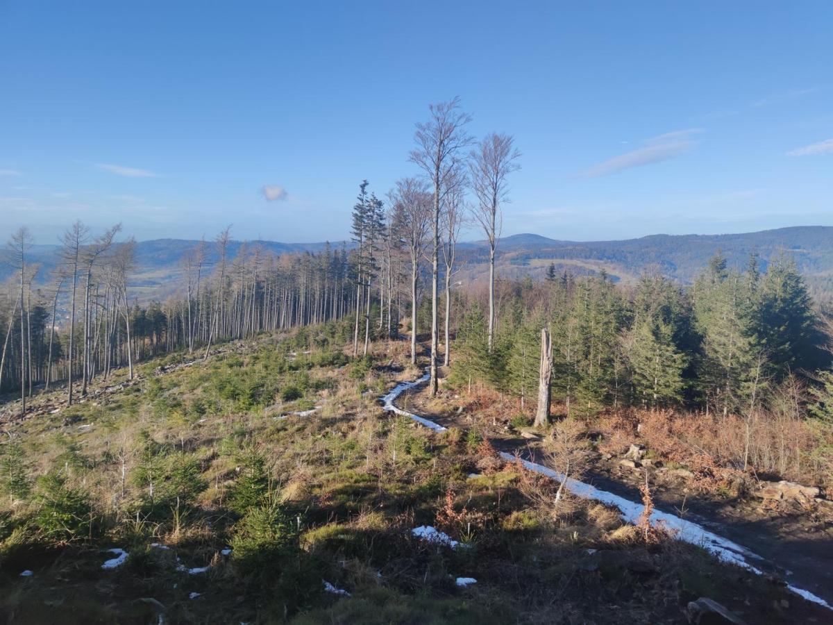 Willa Janina Lądek-Zdrój Exteriér fotografie